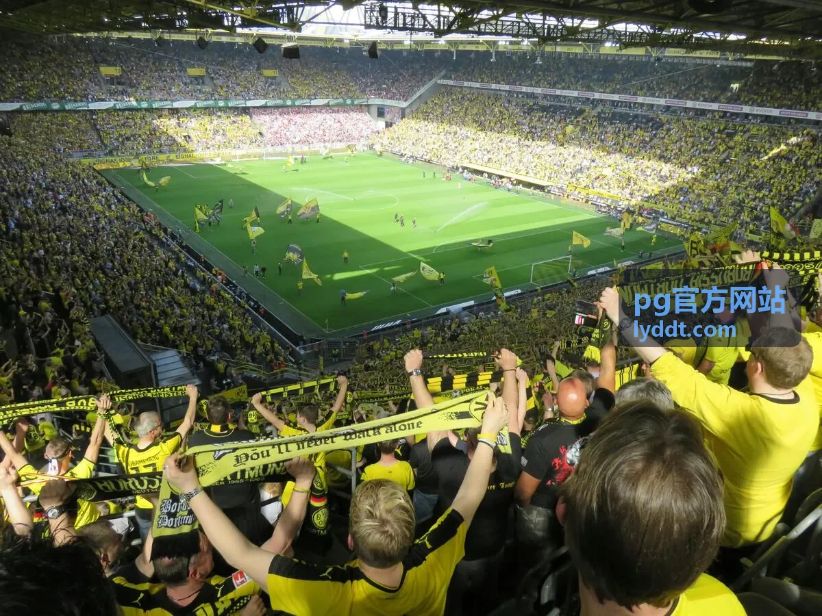 pg官方网站资讯入口配图