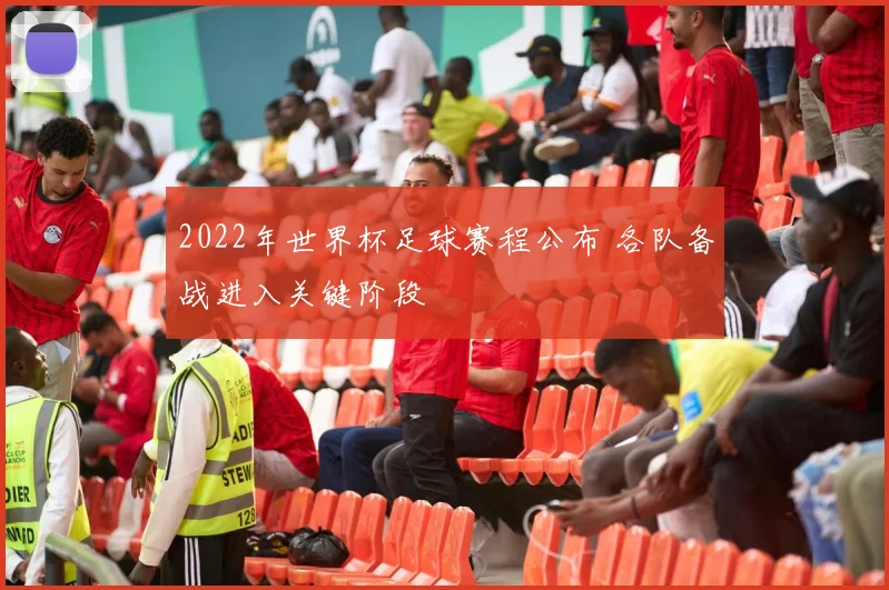 2022年世界杯足球赛程公布 各队备战进入关键阶段