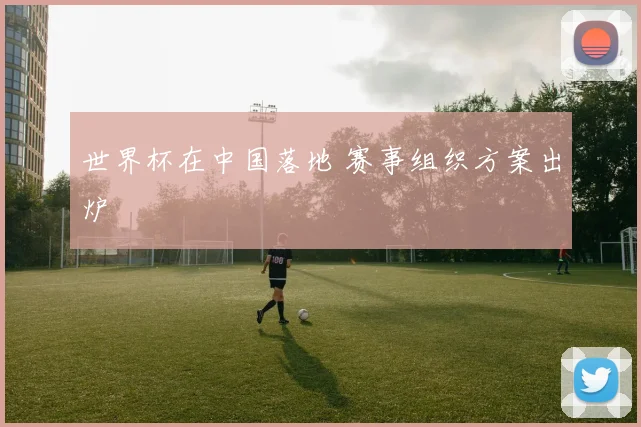 世界杯在中国落地 赛事组织方案出炉